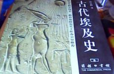 《古代埃及史》读书笔记2500字示例