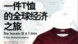 《一件T恤的全球经济之旅》读书笔记2000字示例