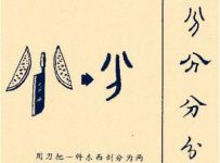 汉字的演化读书笔记2000字