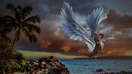 天使的翅膀——《布拉格的鸟》读后感