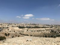《耶路撒冷三千年》读后感范文