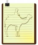 暑假读骆驼祥子笔记1000字范文
