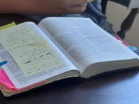 《圣经》的读书笔记1500字作文