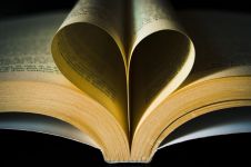 爱心与智慧读书心得（精选11篇）