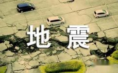 《中国大地震》读后感800字大纲