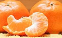 读《住在橘子里的仙女》有感850字