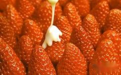 读《甜草莓的秘密》有感2篇