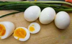 保护鸡蛋有感的作文